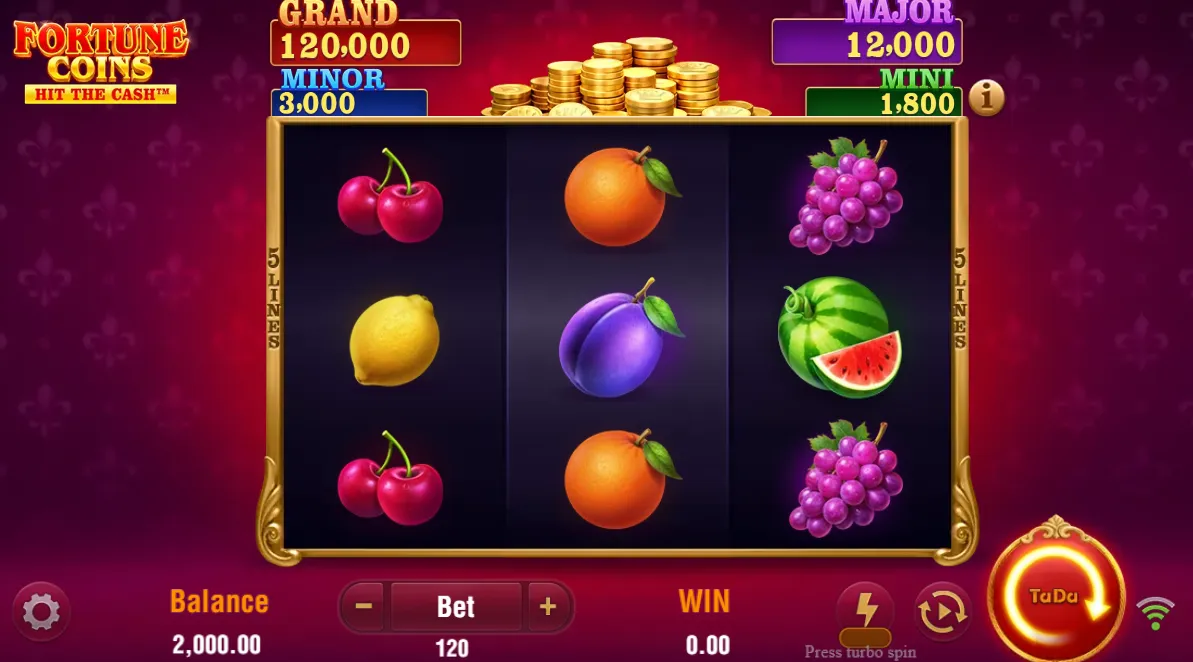 Fortune Coins